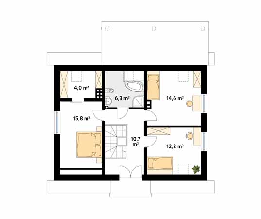 Arnika 2 - miniatura 3