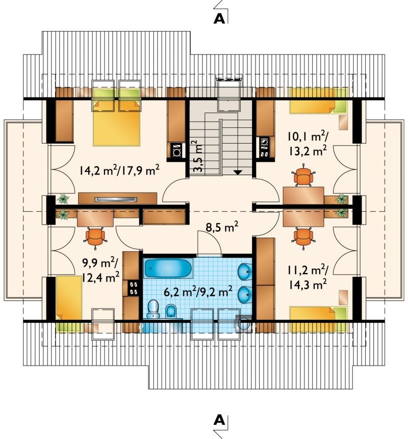 Oberek Rex - miniatura 5