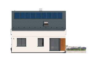  Lisek 2 - miniatura 11