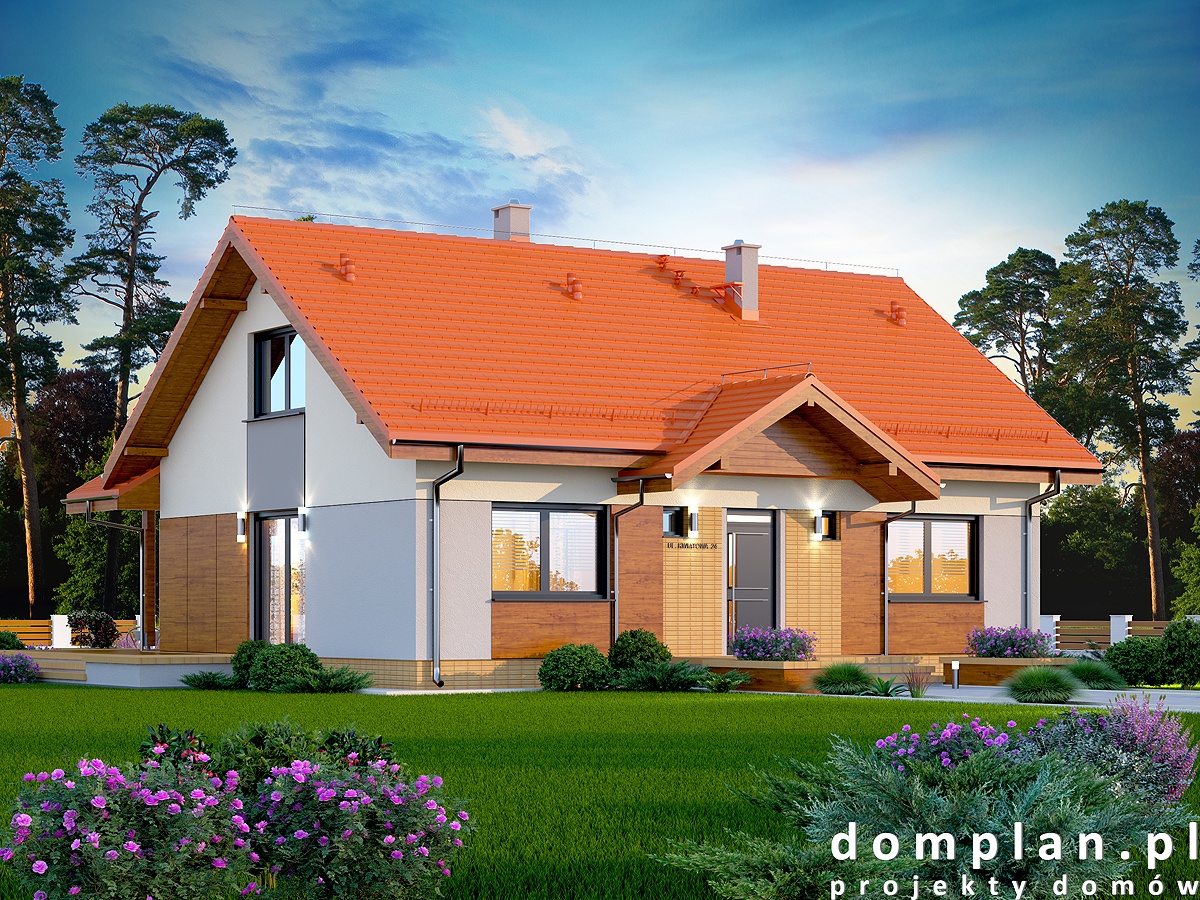budowa domu SARATOGA - New-House