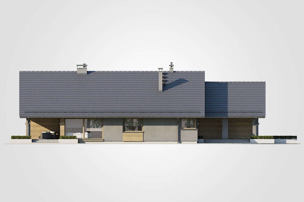 Pelikan XVIII Bis - miniatura 5