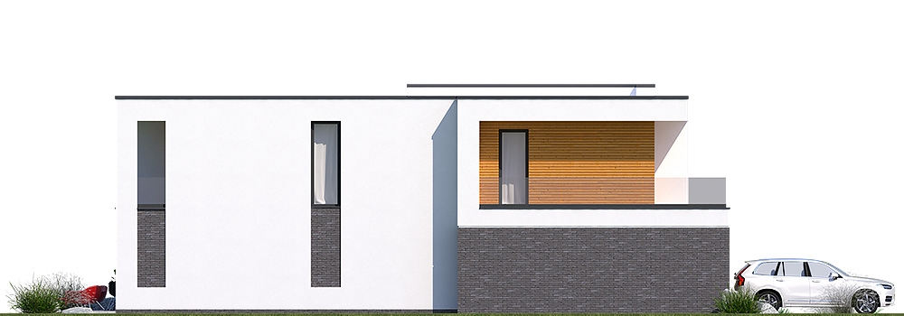 Avitus I G2 (Odbicie lustrzane) - miniatura 4