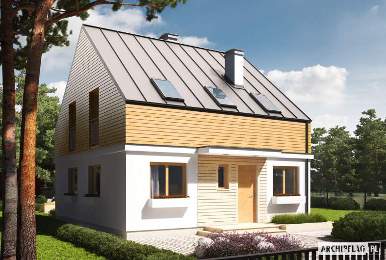 budowa domu E3 ECONOMIC (wersja B) (odbicie lustrzane) - New-House