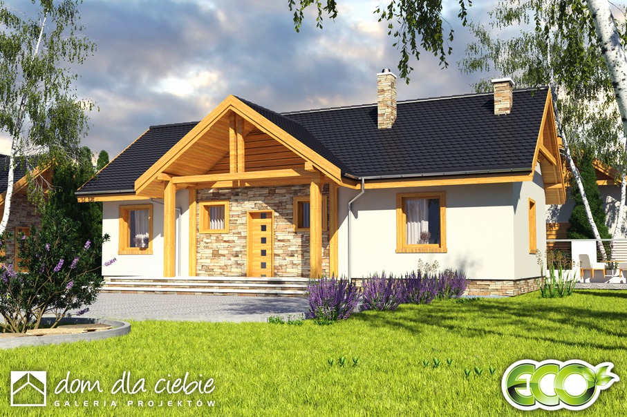 budowa domu Modraszka bez garażu [B] - New-House