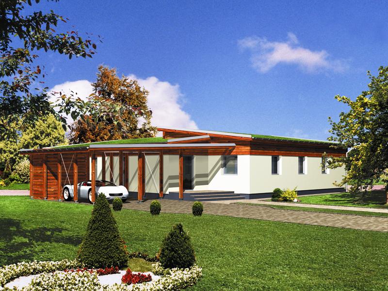budowa domu WB-3957 - New-House