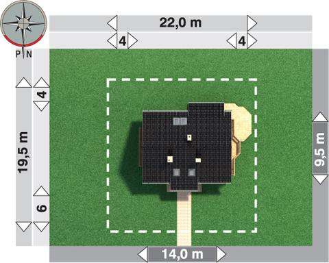 Petunia - miniatura 2