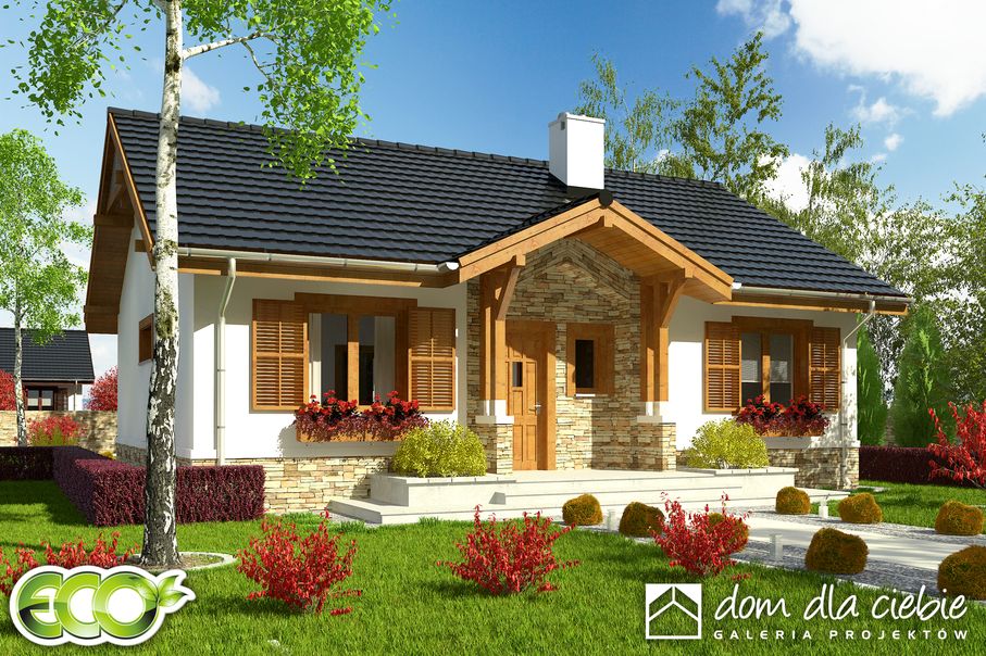 budowa domu Ares bez garażu [B] (odbicie lustrzane) - New-House