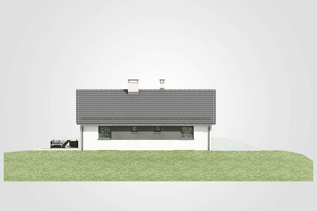 Gaja - miniatura 2