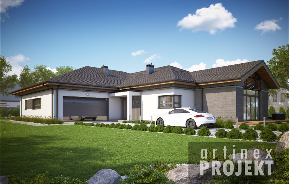 budowa domu- D291 (odbicie lustrzane) - New-House