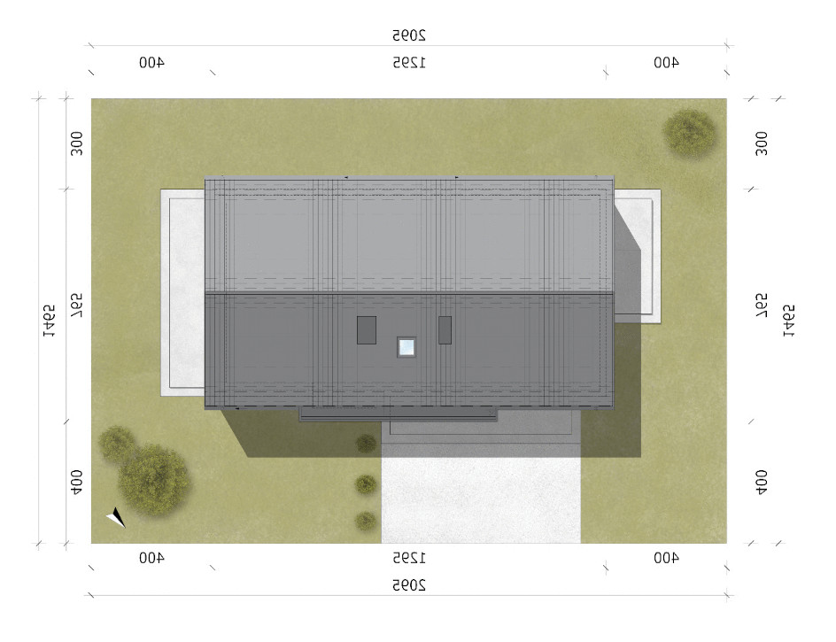 D295 - WT2021 (odbicie lustrzane) - miniatura 12