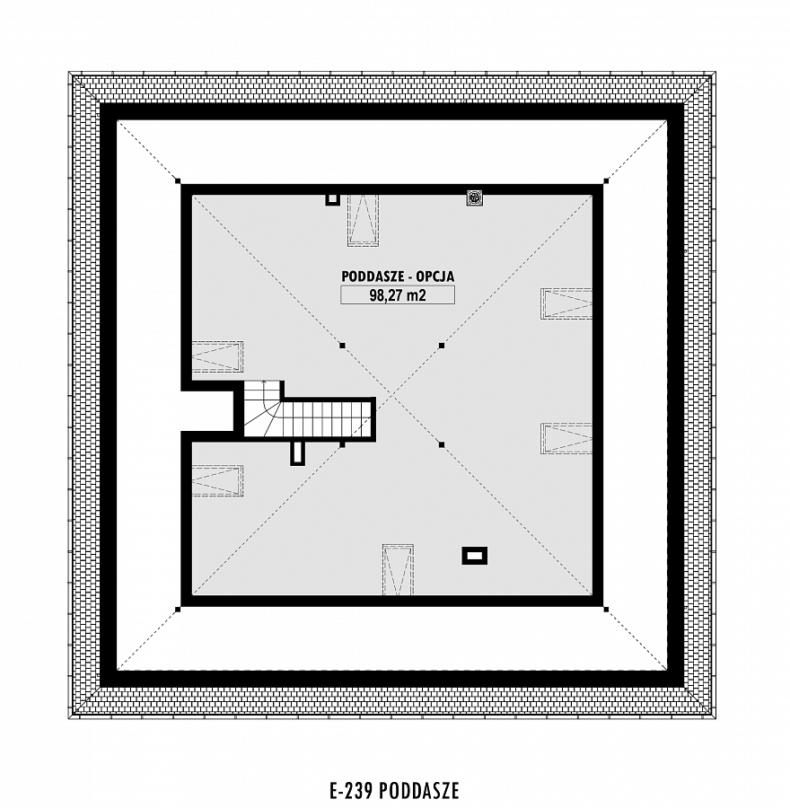 E-239 - miniatura 10