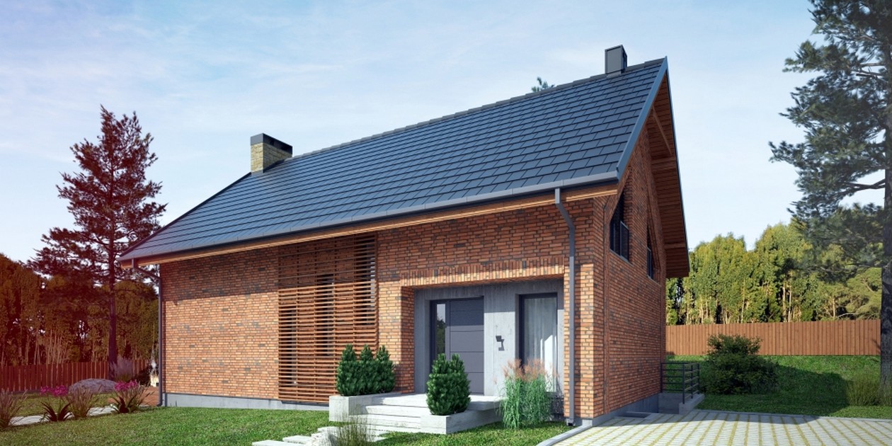 budowa domu Agrestis I P - New-House