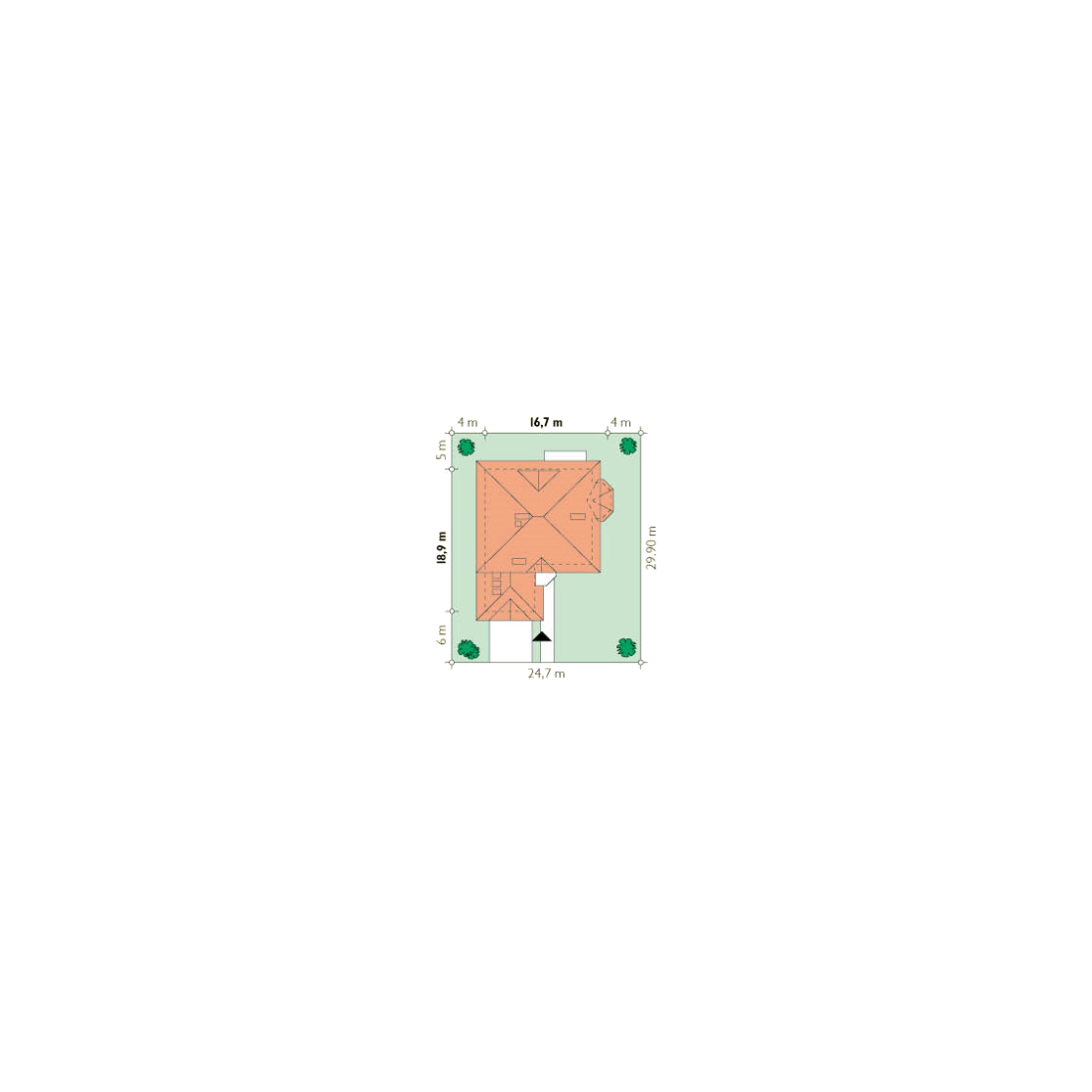 Dorota II - miniatura 4