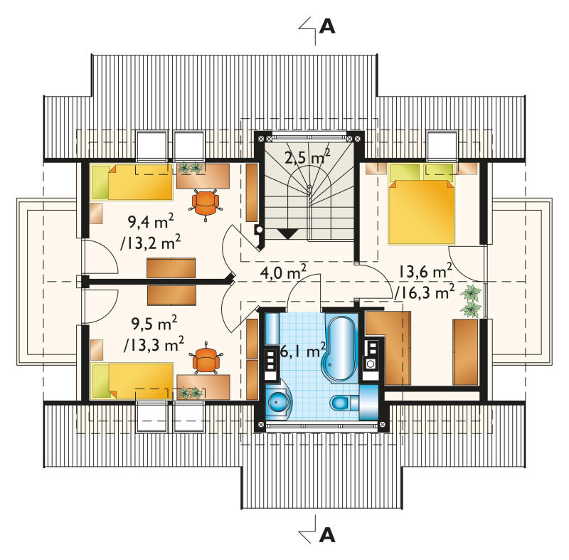 Ruta - miniatura 4