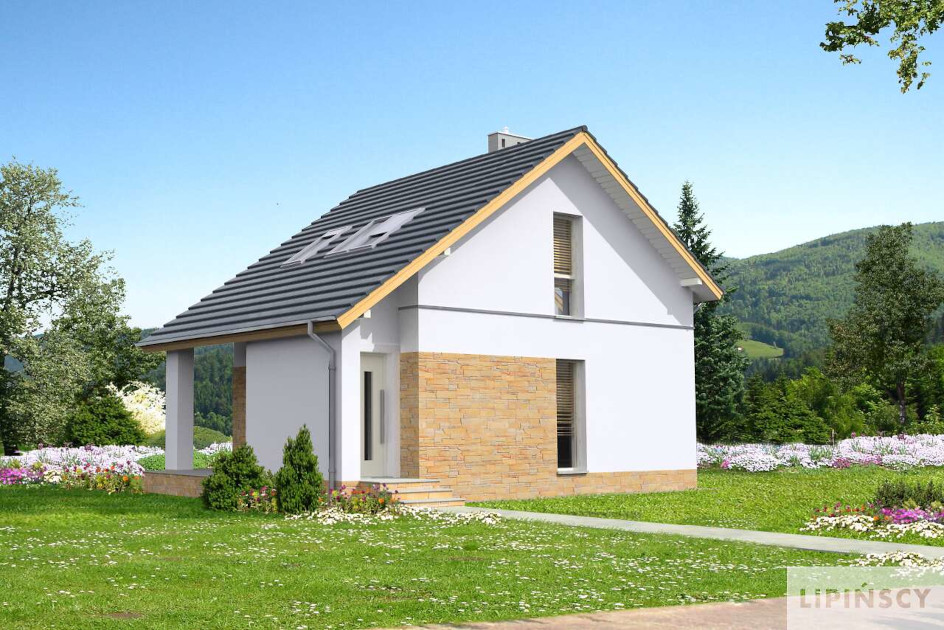 Budowa domu Stamford LMP359 (odbicie lustrzane) z New-House
