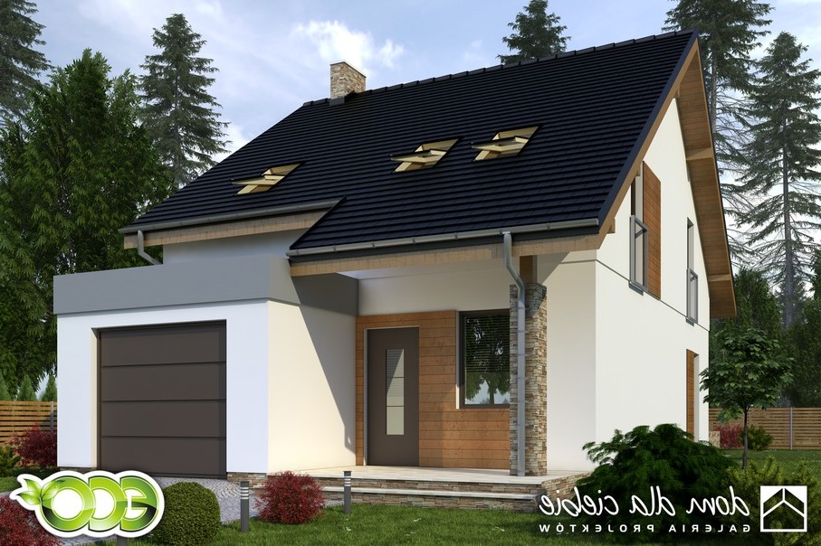 budowa domu Norbert z garażem 1-st. [A] (odbicie lustrzane) - New-House