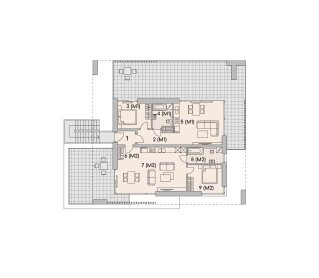 LK&1716 - miniatura 3