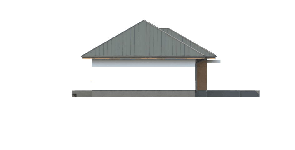 Z307 - miniatura 7
