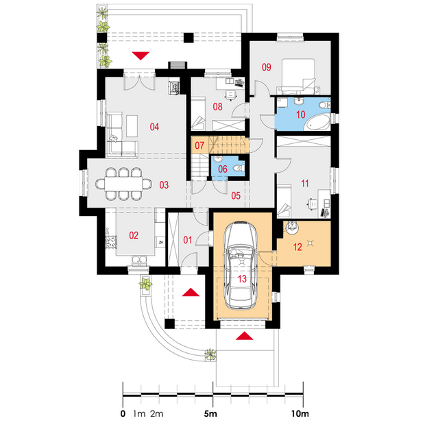 Subtillis I G1 - miniatura 9