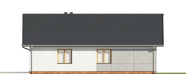 Angularis I G1 (Odbicie lustrzane) - miniatura 3