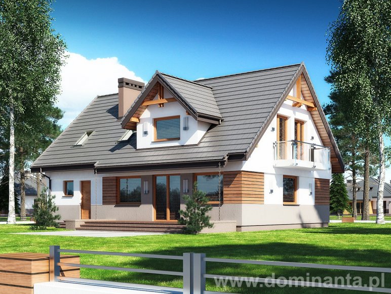 DŻIN N - miniatura 5