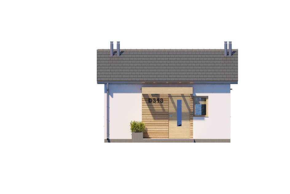 D313 - miniatura 4