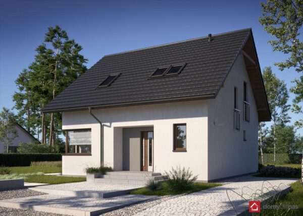 N26-BG - miniatura 4
