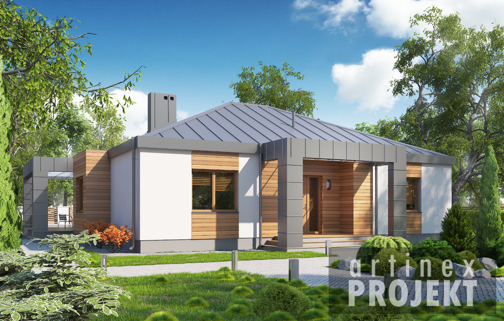 budowa domu- D123 - Zbyszek - New-House