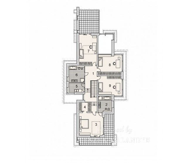 LK&975 - miniatura 2