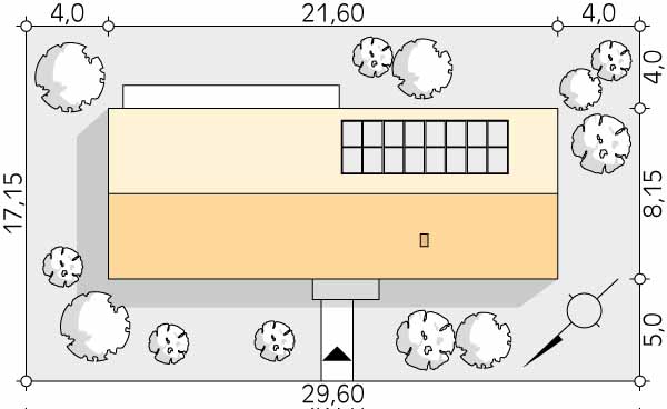 Paproć 5 (odbicie lustrzane) - miniatura 5