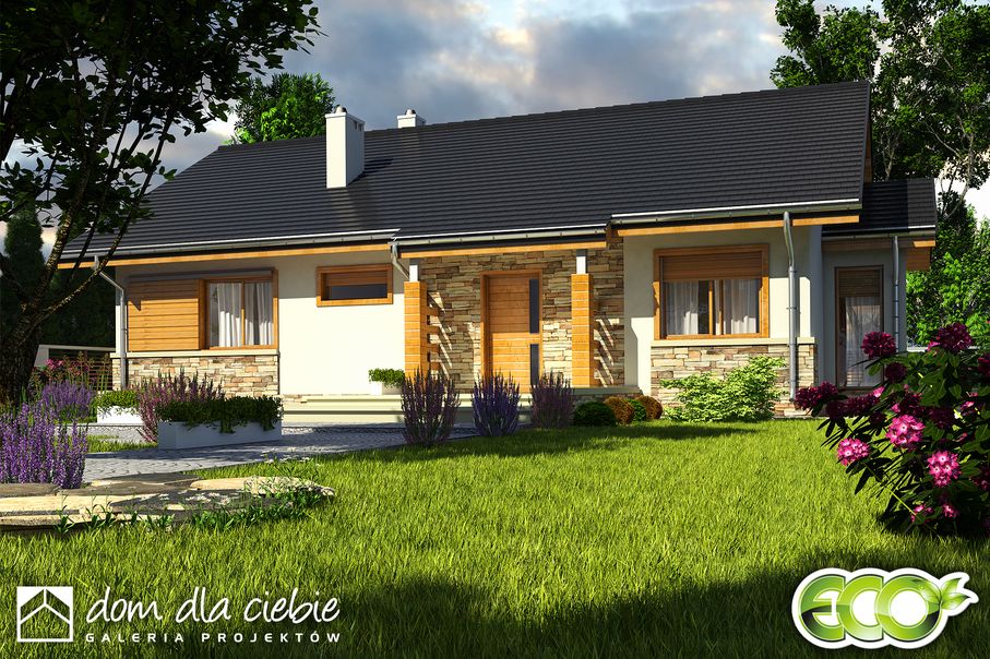 budowa domu Gąska bez garażu [B] - New-House