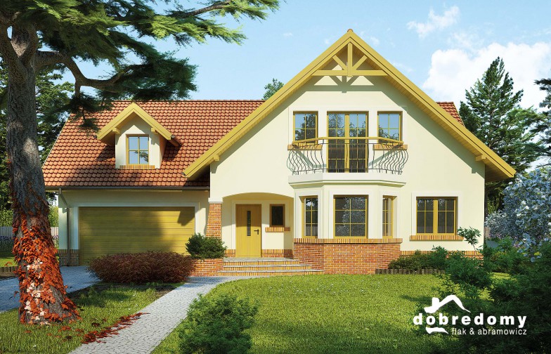 budowa domu Aleksander II odbicie lustrzane - New-House