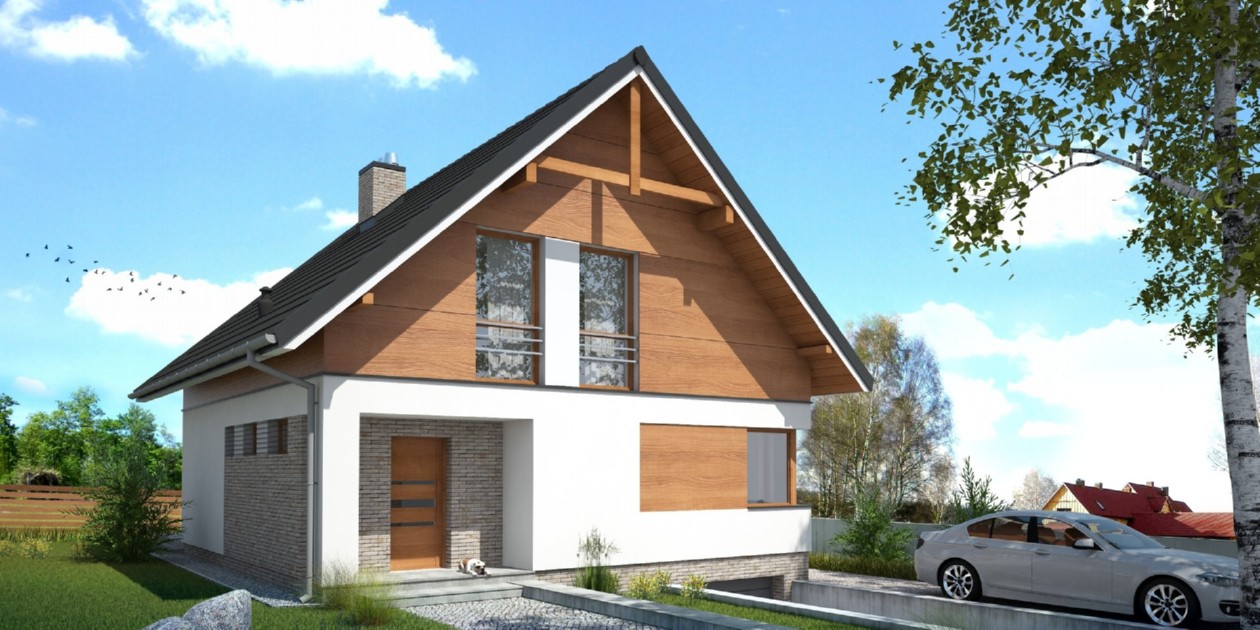 budowa domu Carus I PG1 (Odbicie lustrzane) - New-House