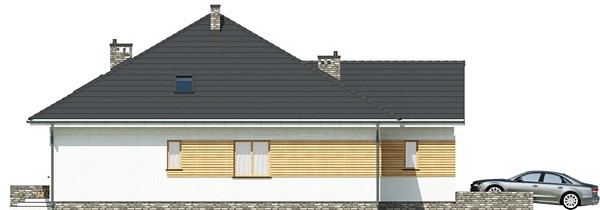 Subtillis I G1 (Odbicie lustrzane) - miniatura 2